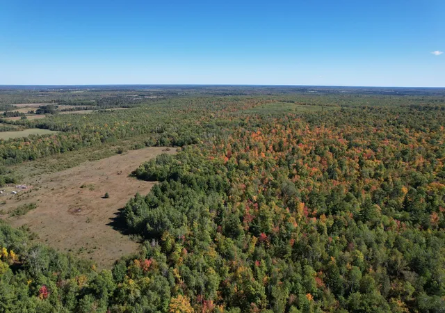 Photo 2 of Land for sale at Tbd  269th Avenue, Laporte, MN 56461 | MLS# 7148828 | Listing updated on 2026-09-23