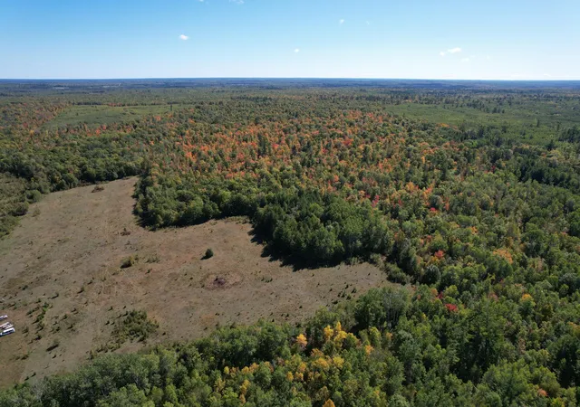 Photo 3 of Land for sale at Tbd  269th Avenue, Laporte, MN 56461 | MLS# 7148828 | Listing updated on 2026-09-23