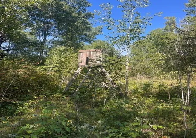 Photo 1 of Sale Pending at Tbd 380th Street, Menahga, MN 56464 | MLS# 7148993 | Listing updated on 2026-09-25