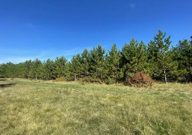 Photo 3 of Sale Pending at Tbd 380th Street, Menahga, MN 56464 | MLS# 7148993 | Listing updated on 2026-09-25