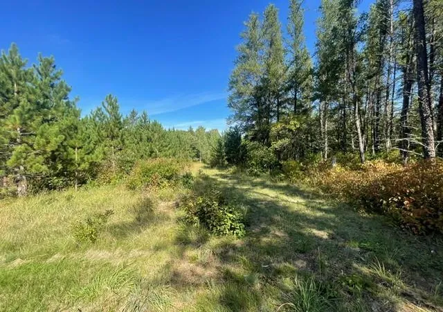 Photo 4 of Sale Pending at Tbd 380th Street, Menahga, MN 56464 | MLS# 7148993 | Listing updated on 2026-09-25