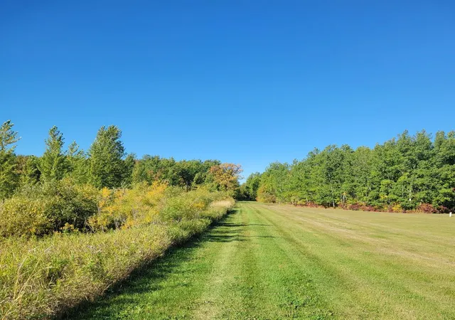 Photo 4 of Single family home for sale at 26317 370th Avenue, Roseau, MN 56751 | MLS# 7149026 | Listing updated on 2026-09-24