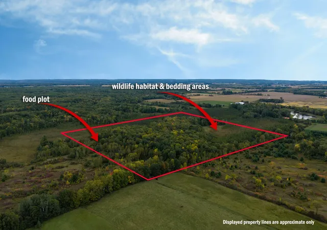 Photo 1 of Land for sale at Tbd 23 1/2 St, Rice Lake, WI 54868 | MLS# 7149165 | Listing updated on 2026-09-23