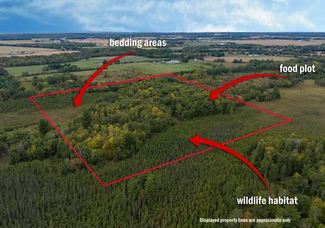 Photo 2 of Land for sale at Tbd 23 1/2 St, Rice Lake, WI 54868 | MLS# 7149165 | Listing updated on 2026-09-23