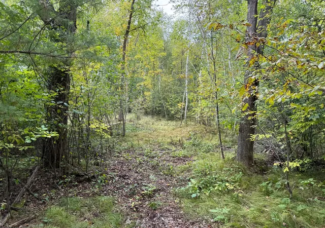 Photo 4 of Land for sale at Tbd 23 1/2 St, Rice Lake, WI 54868 | MLS# 7149165 | Listing updated on 2026-09-23