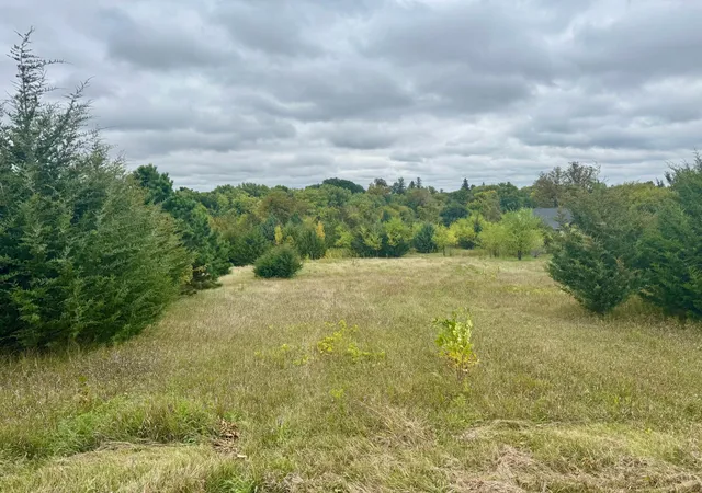 Photo 4 of Land for sale at 31033 724th Avenue, Dassel, MN 55325 | MLS# 7149377 | Listing updated on 2026-09-26