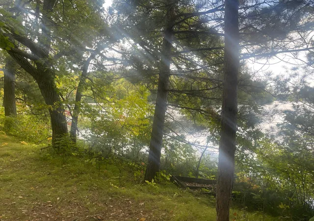 Photo 4 of Single family home for sale at 31531 N Oak St, Pequot Lakes, MN 56472 | MLS# 7149403 | Listing updated on 2026-09-24
