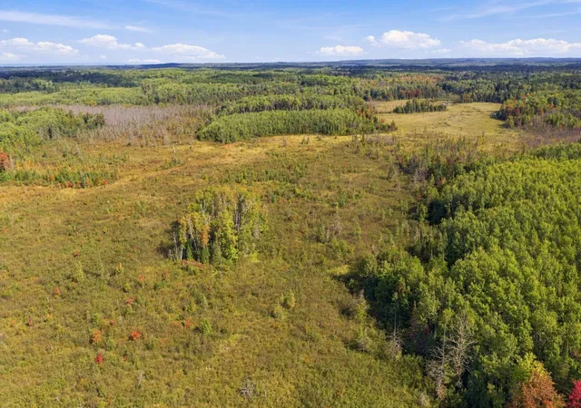 Photo 1 of Land for sale at 8991 Bennet Line Rd E, Lake Nebagamon, WI 54849 | MLS# 7149430 | Listing updated on 2026-09-24