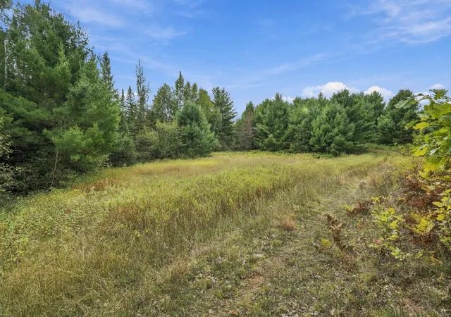 Photo 4 of Land for sale at 8991 Bennet Line Rd E, Lake Nebagamon, WI 54849 | MLS# 7149430 | Listing updated on 2026-09-24