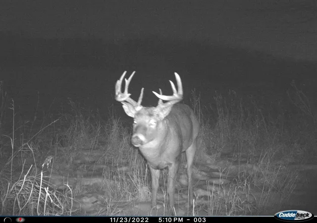 Photo 1 of Land for sale at Tbd 96th Street SW, Motley, MN 56466 | MLS# 7149437 | Listing updated on 2026-10-03