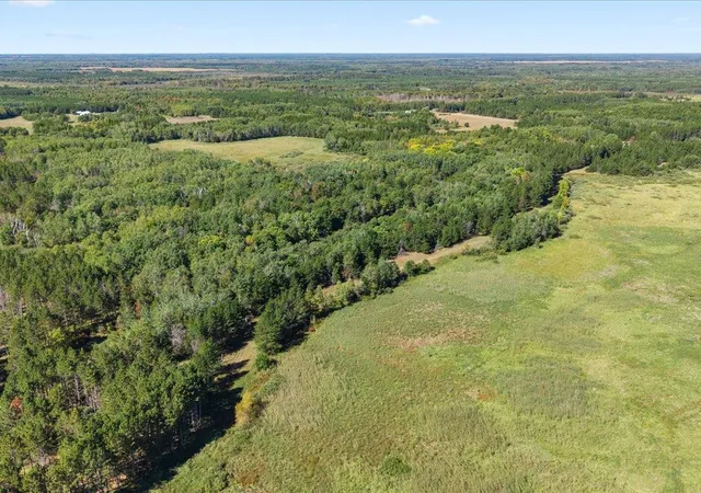 Photo 2 of Land for sale at Tbd 96th Street SW, Motley, MN 56466 | MLS# 7149437 | Listing updated on 2026-10-03