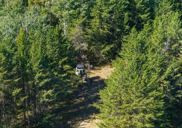 Photo 4 of Land for sale at Tbd 96th Street SW, Motley, MN 56466 | MLS# 7149437 | Listing updated on 2026-10-03
