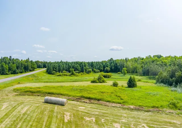 Photo 2 of Land for sale at 0 Tbd County Hwy, Meadowlands, MN 55765 | MLS# 7149453 | Listing updated on 2026-10-07