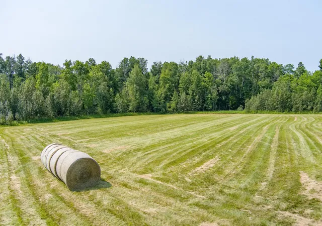Photo 3 of Land for sale at 0 Tbd County Hwy, Meadowlands, MN 55765 | MLS# 7149453 | Listing updated on 2026-10-07
