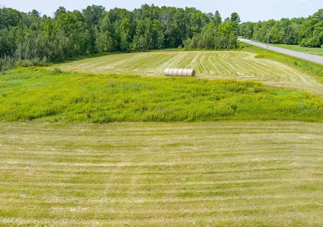 Photo 4 of Land for sale at 0 Tbd County Hwy, Meadowlands, MN 55765 | MLS# 7149453 | Listing updated on 2026-10-07