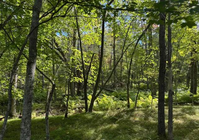 Photo 3 of Sale Pending at Xxx County Rd 109, Merrifield, MN 56465 | MLS# 7149539 | Listing updated on 2026-09-25