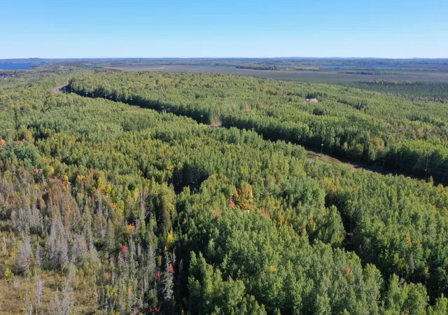 Photo 4 of Sale Pending at Tbd Parcel 4 Hwy 115, Tower, MN 55790 | MLS# 7149570 | Listing updated on 2026-10-04