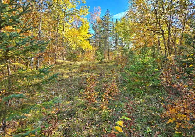 Photo 4 of Land for sale at Tbd Ironwood Dr, Park Rapids, MN 56470 | MLS# 7149647 | Listing updated on 2026-10-01