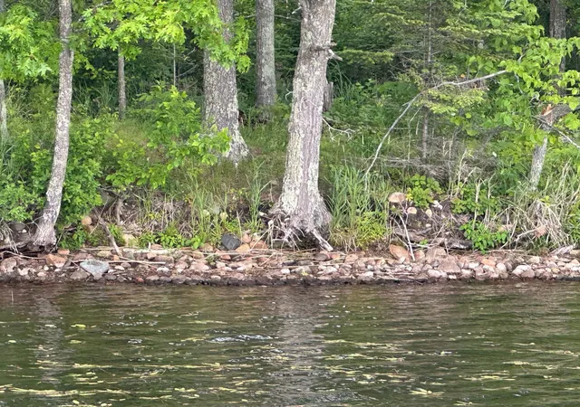 Photo 3 of Land for sale at 36599 Dove St, Aitkin, MN 56431 | MLS# 7149868 | Listing updated on 2026-09-24