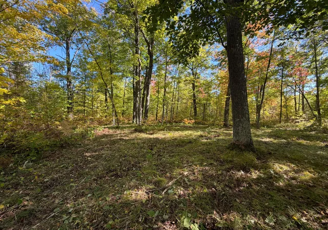 Land for sale at Tbd 110th, Sturgeon Lake, MN 55783 | MLS# 7149901