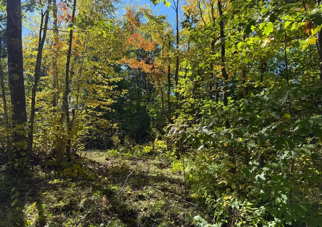 Photo 2 of Land for sale at Tbd 110th, Sturgeon Lake, MN 55783 | MLS# 7149901 | Listing updated on 2026-09-28