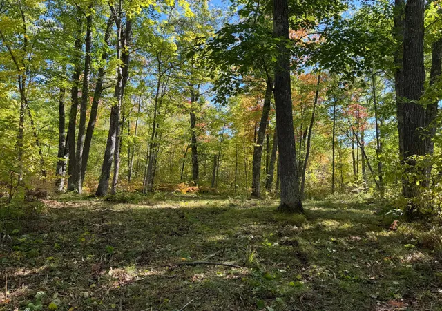 Photo 3 of Land for sale at Tbd 110th, Sturgeon Lake, MN 55783 | MLS# 7149901 | Listing updated on 2026-09-28