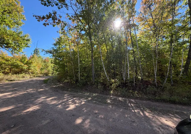 Photo 3 of Land for sale at Tbd 110th, Sturgeon Lake, MN 55783 | MLS# 7149901 | Listing updated on 2026-09-28