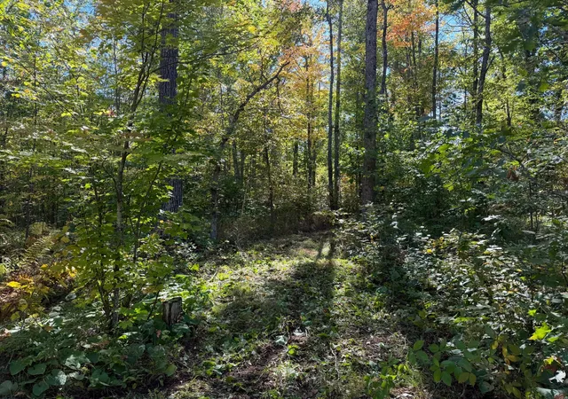 Photo 4 of Land for sale at Tbd 110th, Sturgeon Lake, MN 55783 | MLS# 7149901 | Listing updated on 2026-09-28