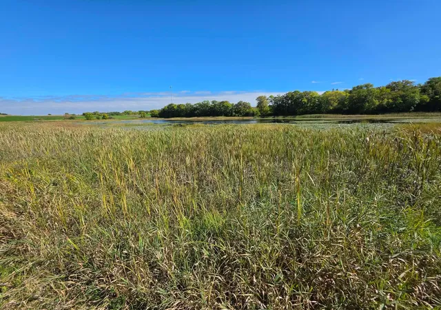 Photo 2 of Land for sale at Tbd Pleasant Lake Trl, Sverdrup Twp, MN 56586 | MLS# 7150034 | Listing updated on 2026-09-25