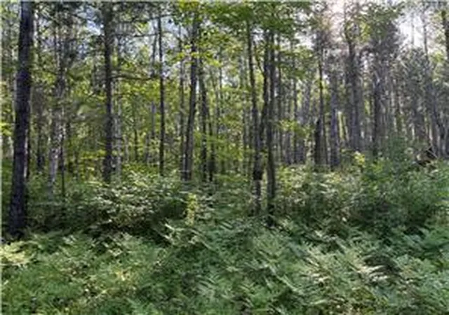 Photo 3 of Land for sale at 200th Tbd Ave, Mc Gregor, MN 55760 | MLS# 7150174 | Listing updated on 2026-09-25