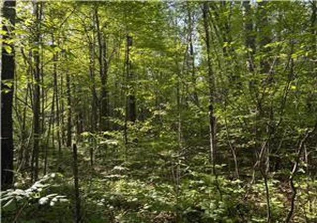 Photo 4 of Land for sale at 200th Tbd Ave, Mc Gregor, MN 55760 | MLS# 7150174 | Listing updated on 2026-09-25