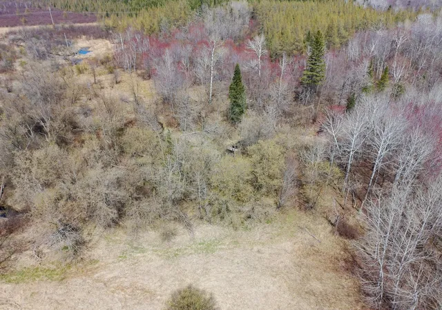 Photo 2 of Land for sale at 11839 Saint Vincent Rd, Floodwood, MN 55736 | MLS# 7150222 | Listing updated on 2026-09-25