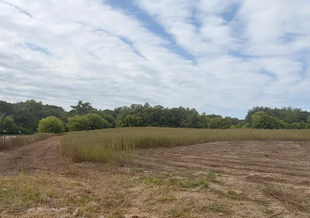 Photo 1 of Land for sale at Tbd (l1 Sm East) 269th Ave Nw, Isanti, MN 55040 | MLS# 7150362 | Listing updated on 2026-10-14