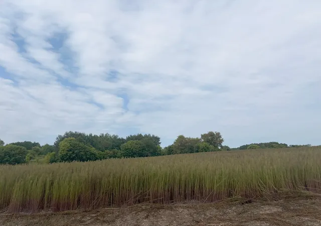 Photo 2 of Land for sale at Tbd (l1 Sm East) 269th Ave Nw, Isanti, MN 55040 | MLS# 7150362 | Listing updated on 2026-10-14