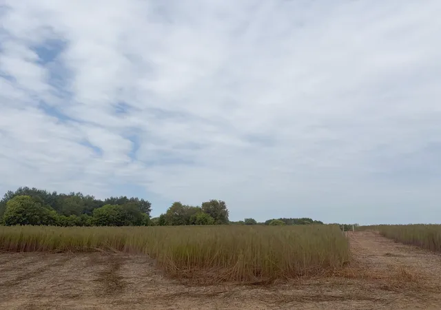 Photo 3 of Land for sale at Tbd (l1 Sm East) 269th Ave Nw, Isanti, MN 55040 | MLS# 7150362 | Listing updated on 2026-10-14