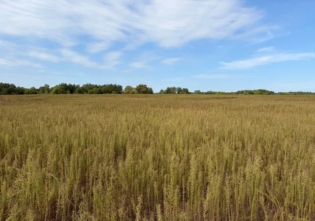 Photo 1 of Land for sale at Tbd (l2 Sm East) Yellowpine Ct Nw, Isanti, MN 55040 | MLS# 7150365 | Listing updated on 2026-10-14