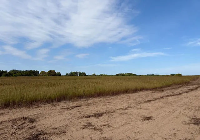 Photo 2 of Land for sale at Tbd (l2 Sm East) Yellowpine Ct Nw, Isanti, MN 55040 | MLS# 7150365 | Listing updated on 2026-10-14