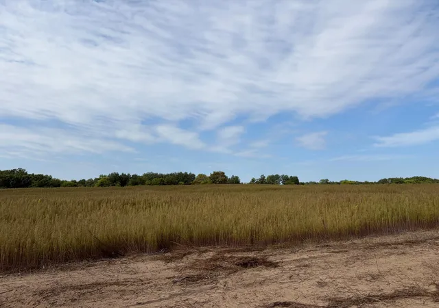 Photo 1 of Land for sale at Tbd (l3 Sm East) Yellowpine Ct Nw, Isanti, MN 55040 | MLS# 7150366 | Listing updated on 2026-10-15
