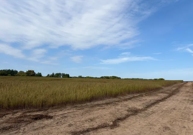 Photo 2 of Land for sale at Tbd (l3 Sm East) Yellowpine Ct Nw, Isanti, MN 55040 | MLS# 7150366 | Listing updated on 2026-10-15