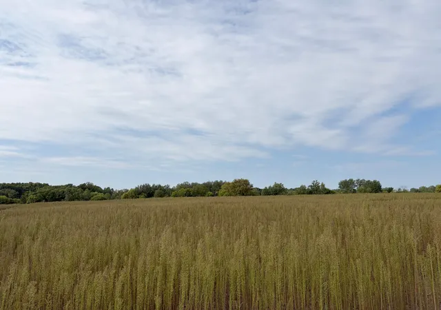 Photo 1 of Land for sale at Tbd (l4 Sm East) Yellowpine Ct Nw, Isanti, MN 55040 | MLS# 7150368 | Listing updated on 2026-10-15