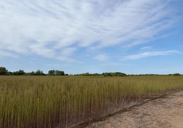 Photo 2 of Land for sale at Tbd (l4 Sm East) Yellowpine Ct Nw, Isanti, MN 55040 | MLS# 7150368 | Listing updated on 2026-10-15