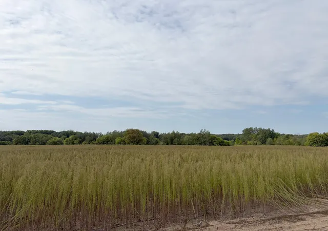 Photo 1 of Land for sale at Tbd (l5 Sm East) Yellowpine Ct Nw, Isanti, MN 55040 | MLS# 7150370 | Listing updated on 2026-10-23