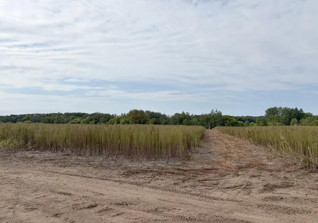 Photo 3 of Land for sale at Tbd (l5 Sm East) Yellowpine Ct Nw, Isanti, MN 55040 | MLS# 7150370 | Listing updated on 2026-10-23