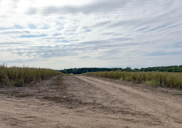 Photo 3 of Land for sale at Tbd (l5-sm East) Yellowpine Ct NW, Isanti, MN 55040 | MLS# 7150370 | Listing updated on 2026-10-23