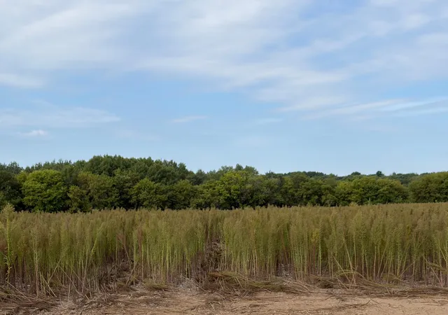 Photo 1 of Land for sale at Tbd (l6 Sm East) Yellowpine Ct Nw, Isanti, MN 55040 | MLS# 7150374 | Listing updated on 2026-10-23