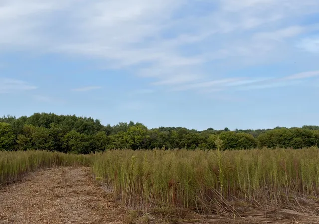 Photo 3 of Land for sale at Tbd (l6 Sm East) Yellowpine Ct Nw, Isanti, MN 55040 | MLS# 7150374 | Listing updated on 2026-10-23