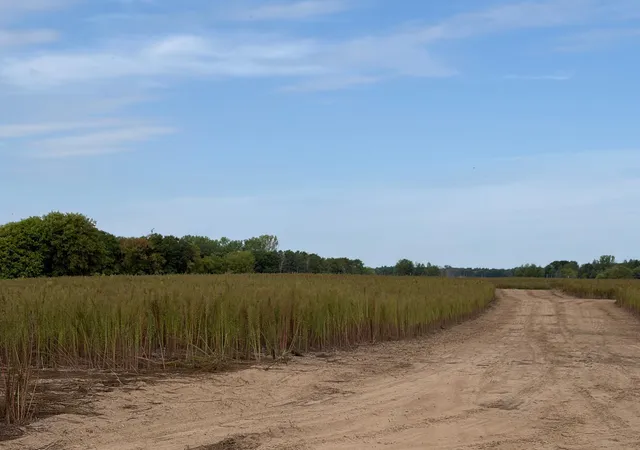 Photo 3 of Land for sale at Tbd (l6-sm East) Yellowpine Ct NW, Isanti, MN 55040 | MLS# 7150374 | Listing updated on 2026-10-23