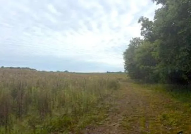Photo 2 of Land for sale at Tbd (l7 Sm East) Flamingo St Nw, Isanti, MN 55040 | MLS# 7150376 | Listing updated on 2026-10-15