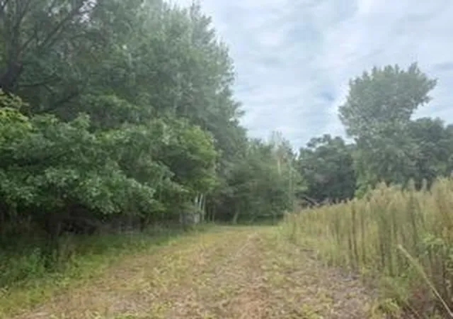 Photo 3 of Land for sale at Tbd (l7 Sm East) Flamingo St Nw, Isanti, MN 55040 | MLS# 7150376 | Listing updated on 2026-10-15
