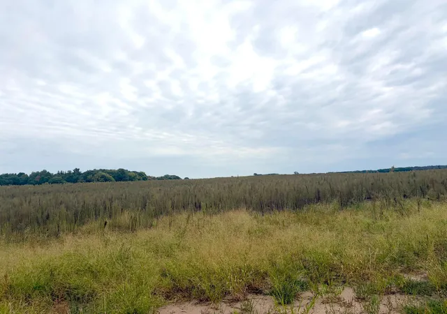 Photo 2 of Land for sale at Tbd (l8 Sm East) Flamingo St Nw, Isanti, MN 55040 | MLS# 7150377 | Listing updated on 2026-10-15
